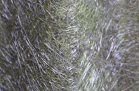 West Ashton fibreglass roof work